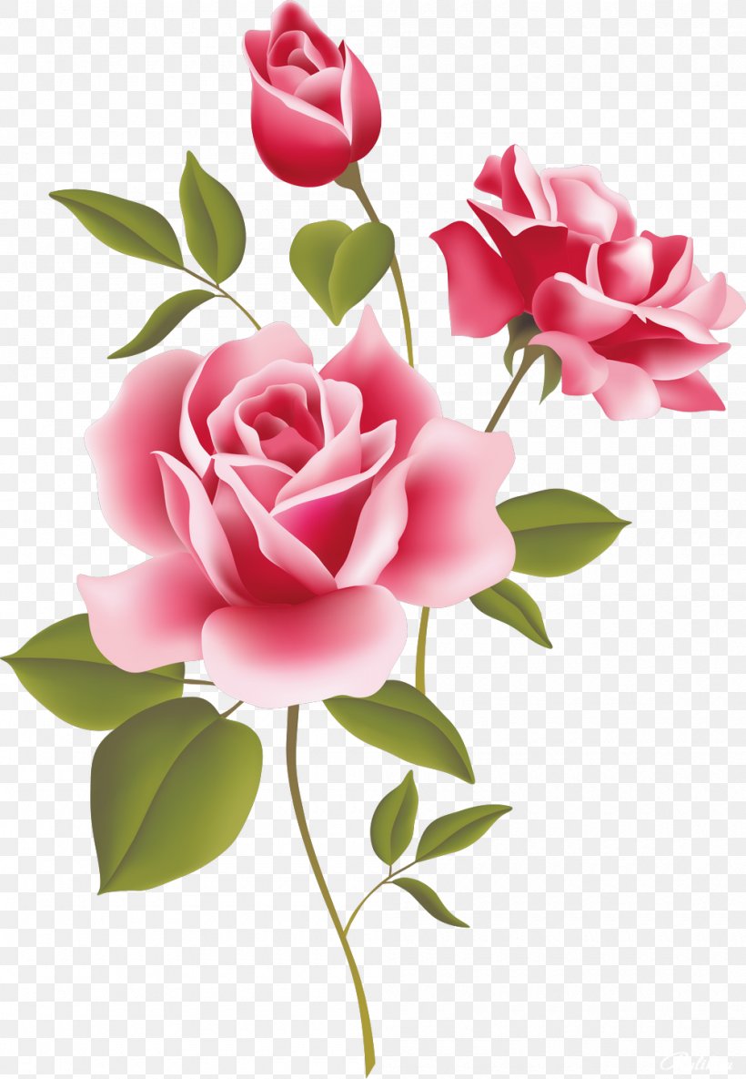 Rose Clip Art, PNG, 1000x1446px, Rose, Artificial Flower, Black Rose, Blue Rose, Bud Download Free