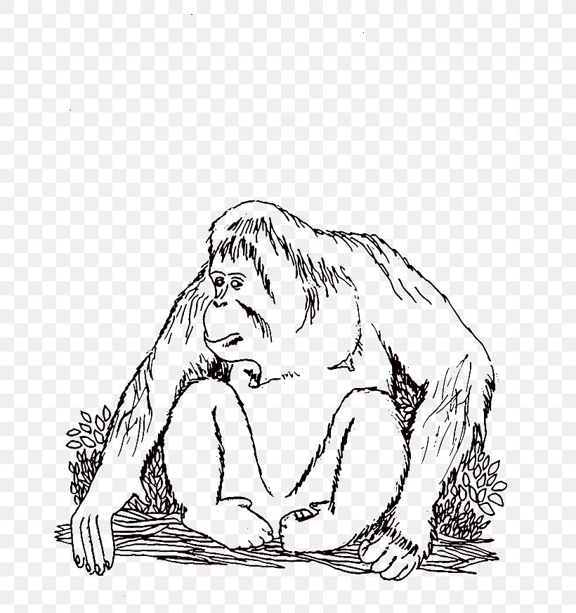 Bornean Orangutan Sumatran Orangutan Tapanuli Orangutan Ape Primate, PNG, 700x872px, Watercolor, Cartoon, Flower, Frame, Heart Download Free