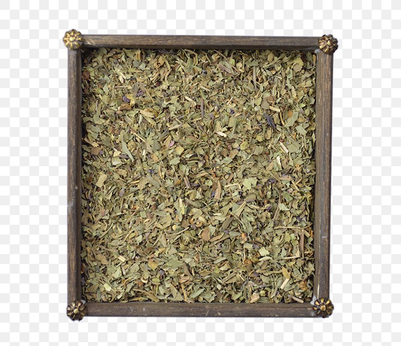Rosemary Coriander Spice Flat-leaved Vanilla Herb, PNG, 570x708px, Rosemary, Basil, Camouflage, Coriander, Coriandrum Download Free