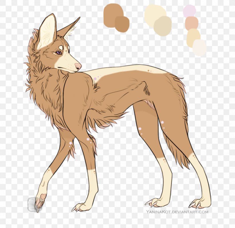 Coyote Dog Breed Maned Wolf Jackal, PNG, 908x879px, 2016, Coyote, Breed, Carnivoran, Deer Download Free