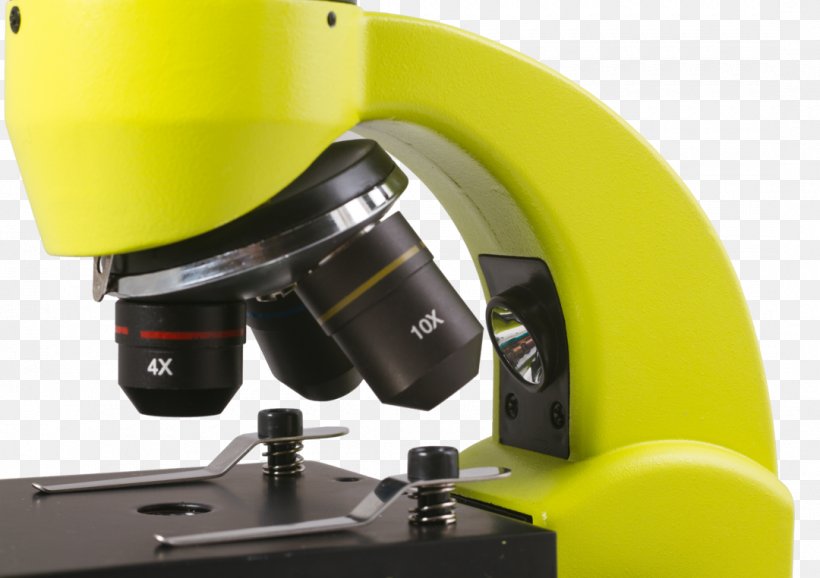 Microscope Optics Magnification Microscopy Science, PNG, 1080x762px, Microscope, Antonie Van Leeuwenhoek, Biology, Euglena, Experiment Download Free