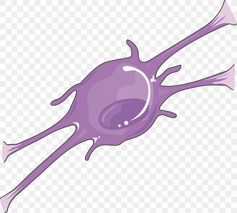 Oligodendrocyte Servier Medical Agy Neuron Clip Art, PNG, 1332x1196px, Oligodendrocyte, Agy, Art, Brain, Cell Download Free