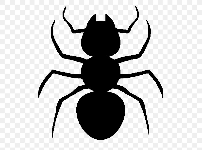 T-shirt Top Ant Insect Man, PNG, 610x610px, Tshirt, Ant, Arachnid, Arthropod, Artwork Download Free