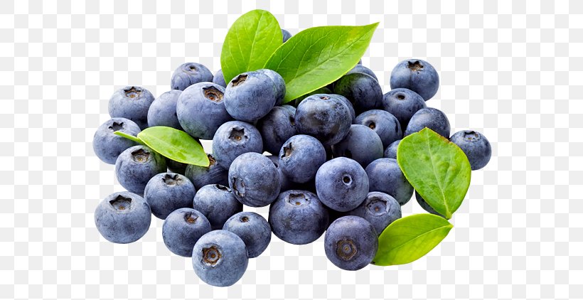 Blueberry Fruit Food Saturated Fat, PNG, 600x422px, Blueberry, Antioxidant, Aristotelia Chilensis, Berry, Bilberry Download Free