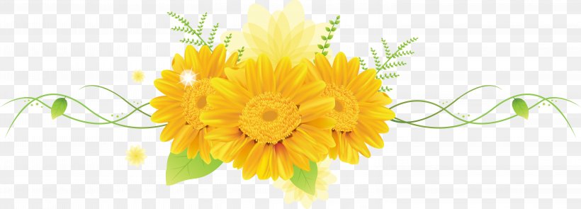 Cut Flowers Petal Desktop Wallpaper, PNG, 6071x2187px, Flower, Calendula, Chrysanthemum, Chrysanths, Cut Flowers Download Free