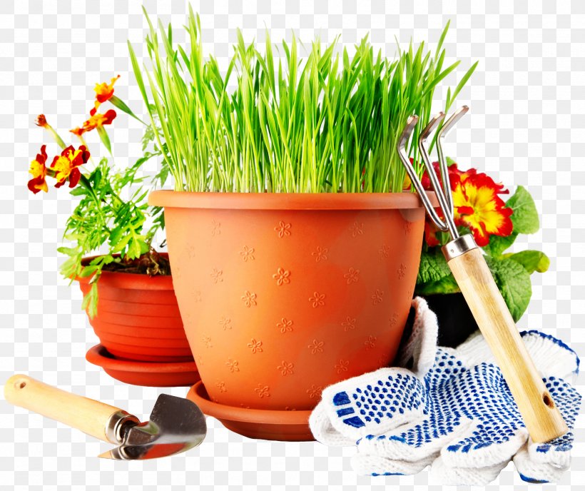 Online Shopping Price Artikel Gardening, PNG, 1614x1356px, Online Shopping, Alternative Medicine, Artikel, Cold Frame, Flowerpot Download Free