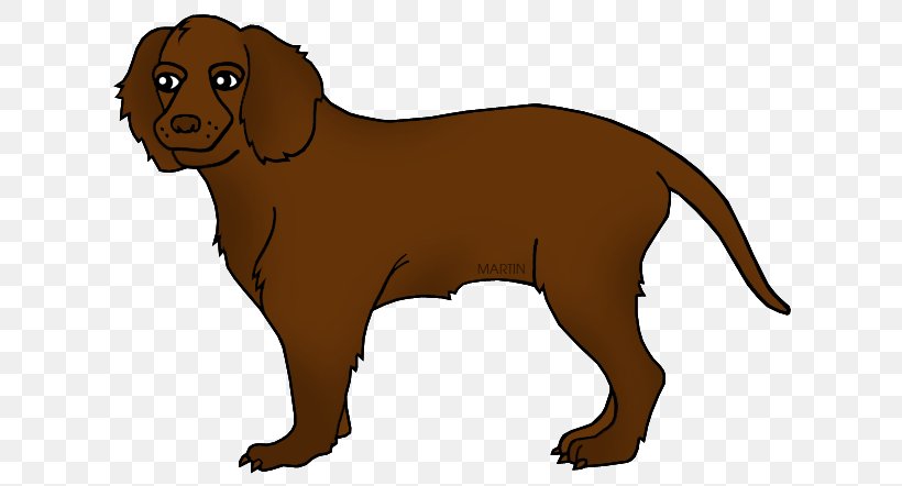 Water Background, PNG, 648x442px, Boykin Spaniel, American Cocker Spaniel, American Water Spaniel, Breed, Brown Download Free