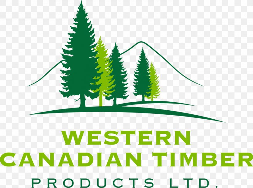 Western Canadian Timber Products Ltd Insurance Lumber Service, PNG, 1500x1116px, Insurance, Brand, Canada, Forest Product, Forestry Download Free