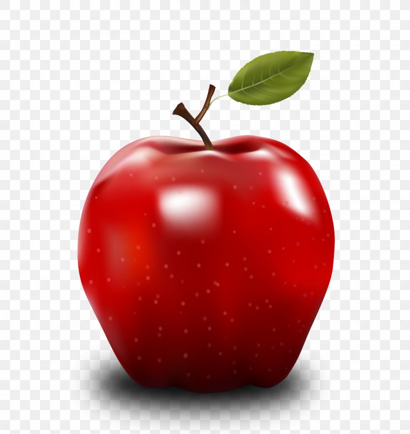 Apple Clip Art, PNG, 1510x1600px, Apple, Accessory Fruit, Acerola, Acerola Family, Diet Food Download Free