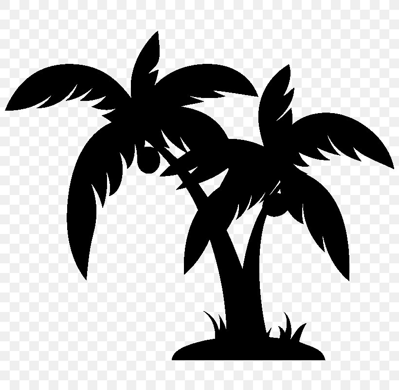 Arecaceae Clip Art, PNG, 800x800px, Arecaceae, Bird, Black And White, Branch, Coconut Download Free