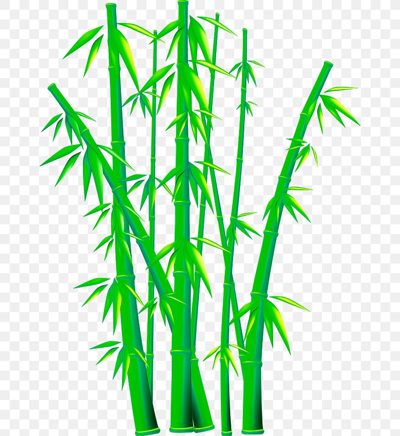 Bamboo Euclidean Vector Clip Art, PNG, 658x894px, Bamboo, Flowerpot, Grass, Hemp, Leaf Download Free