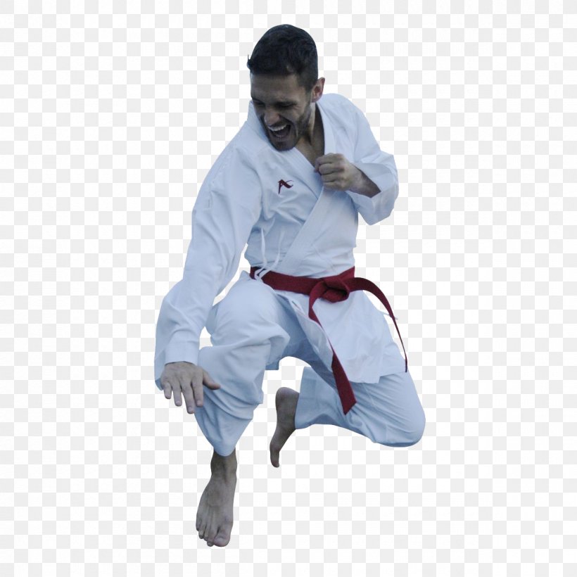 Karate Gi World Karate Federation Kumite Karate Kata, PNG, 1200x1200px, Karate, Arm, Black Belt, Bunkai, Dobok Download Free