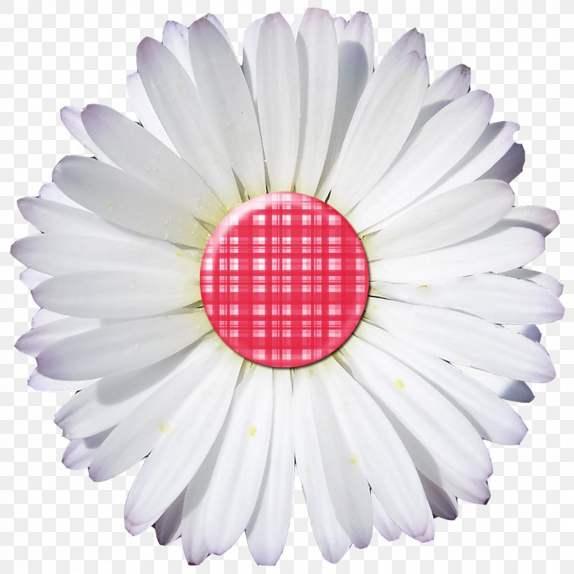 Paper Digital Scrapbooking Embellishment, PNG, 1200x1200px, Paper, Alphabet, Button, Craft, Cut Flowers Download Free