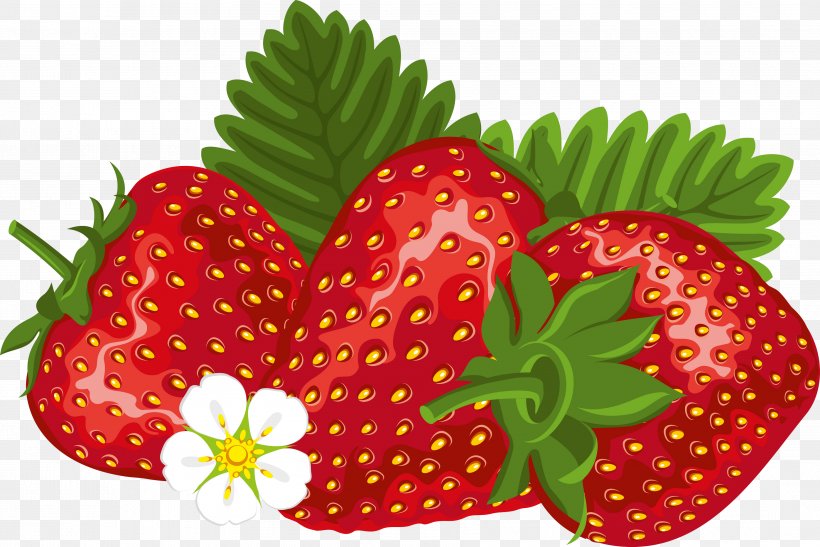 Shortcake Milkshake Florida Strawberry Festival Clip Art, PNG, 3614x2412px, Shortcake, Accessory Fruit, Berry, Florida Strawberry Festival, Food Download Free