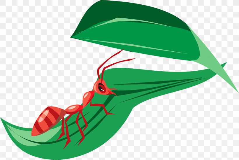 Ant Leaf Clip Art, PNG, 1280x856px, Ant, Estudante, Fire Ant, Footwear, Grass Download Free