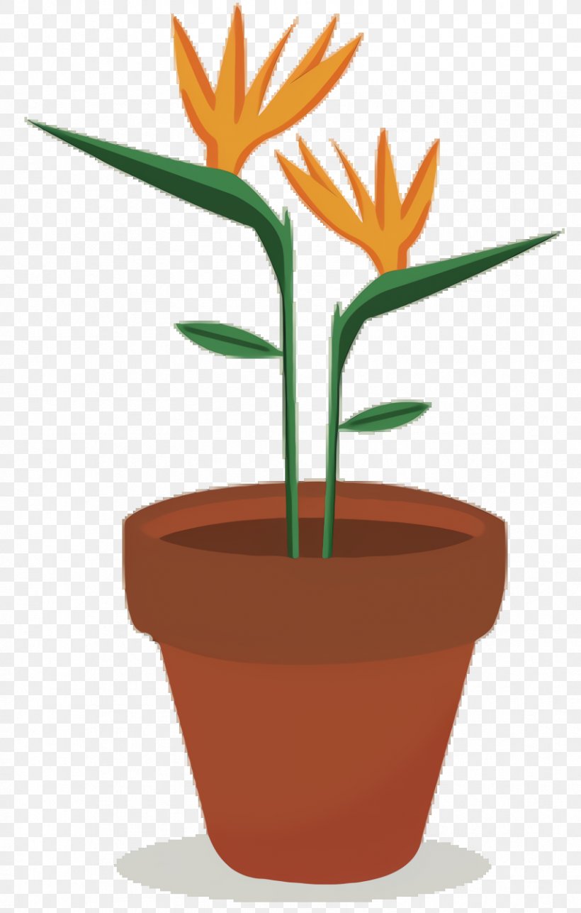 Bird Of Paradise, PNG, 856x1344px, Plants, Bird Of Paradise, Cartoon, Crocus, Drawing Download Free