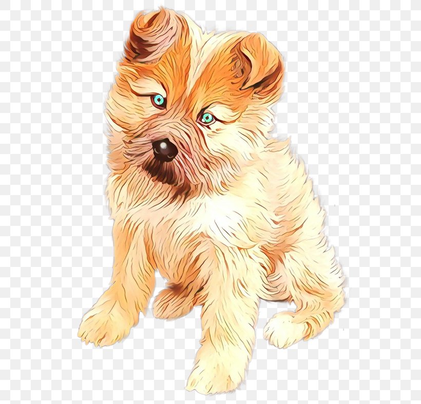 Dog Dog Breed Yorkshire Terrier Puppy Companion Dog, PNG, 553x787px, Cartoon, Cairn Terrier, Companion Dog, Dog, Dog Breed Download Free