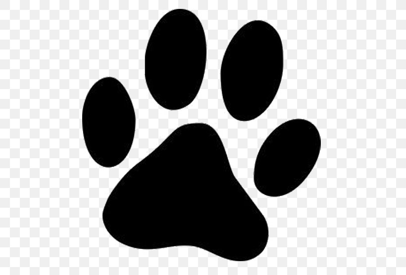 Dog Paw Printing Cat Clip Art, PNG, 600x556px, Dog, Black, Black And White, Cat, Decal Download Free