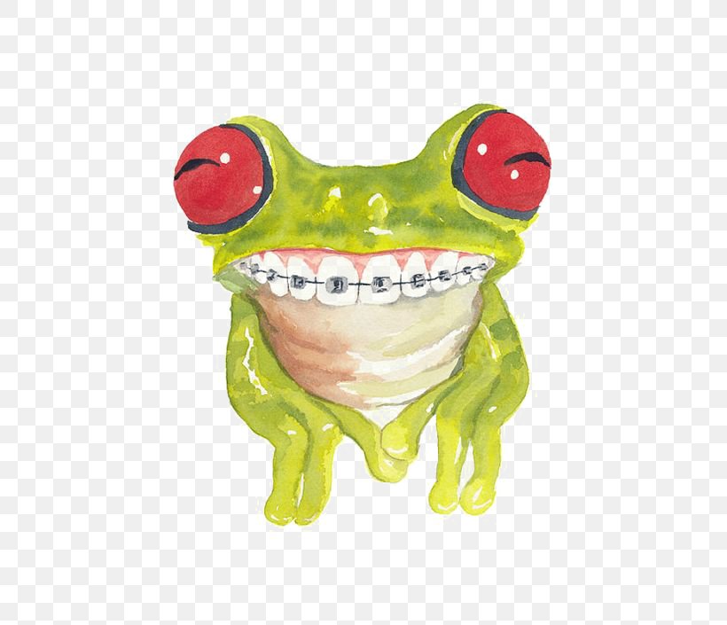 Frog Cat Watercolor Painting Dental Braces, PNG, 564x705px, Frog, Amphibian, Animal, Aquarelldruck, Cartoon Download Free
