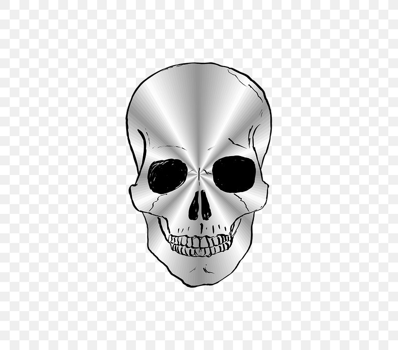 Human Skull Symbolism Image Euclidean Vector Skeleton, PNG, 511x720px, Skull, Bone, Drawing, Face, Head Download Free