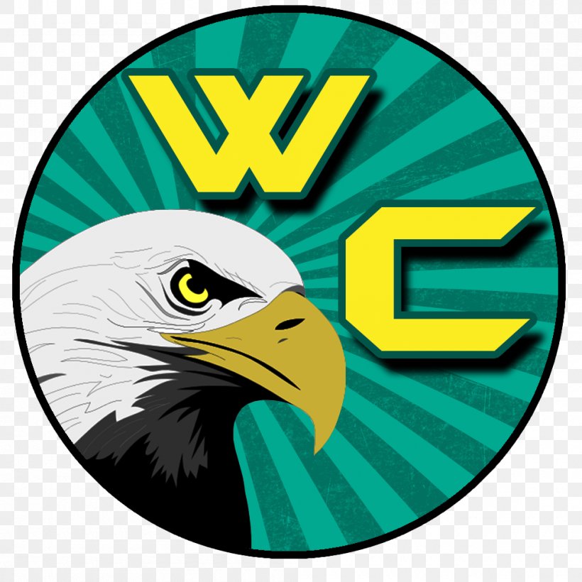 Bald Eagle Beak Logo Clip Art, PNG, 1000x1000px, Bald Eagle, Beak, Bird, Bird Of Prey, Eagle Download Free