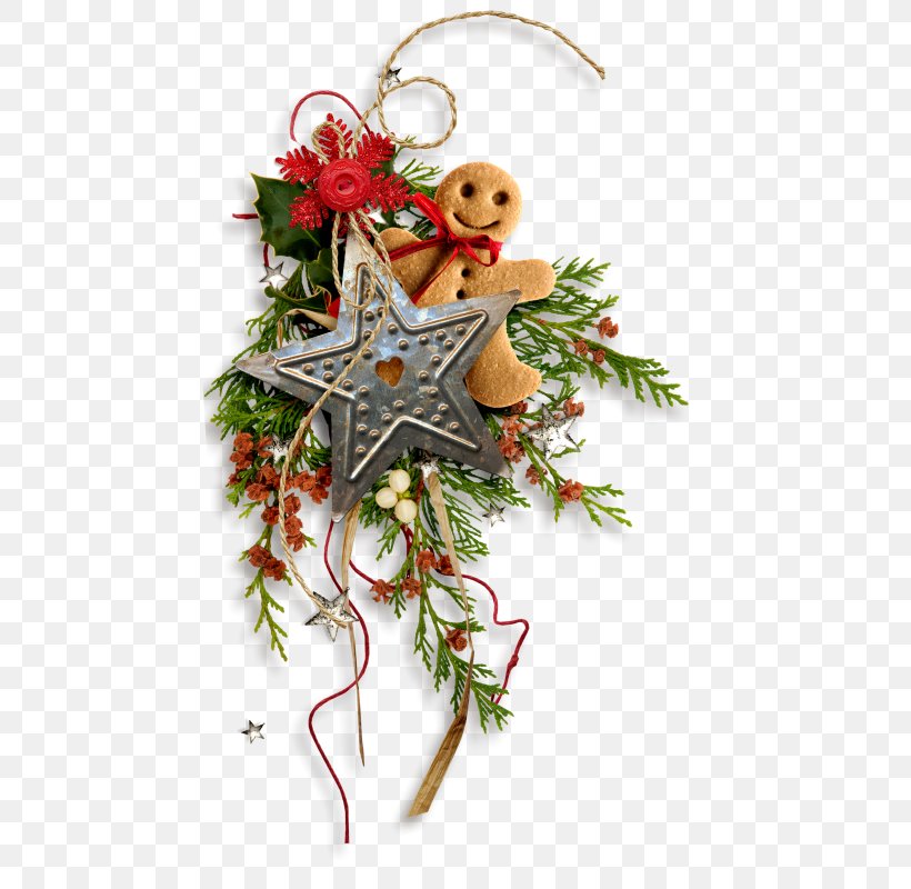 Christmas Tree Branch, PNG, 463x800px, Christmas Ornament, Blog, Branch, Christmas, Christmas Decoration Download Free