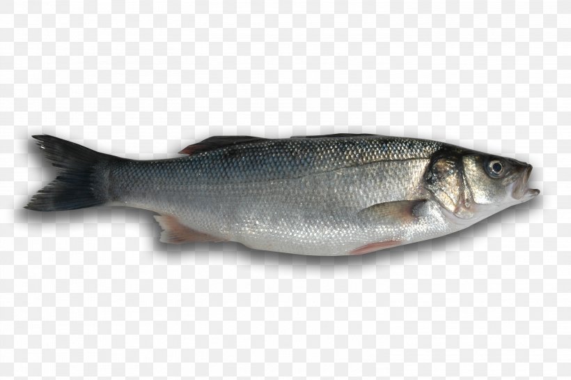 Fish Soup Seafood European Bass, PNG, 3008x2000px, Fish, Animal Source Foods, Barramundi, Bass, Bony Fish Download Free