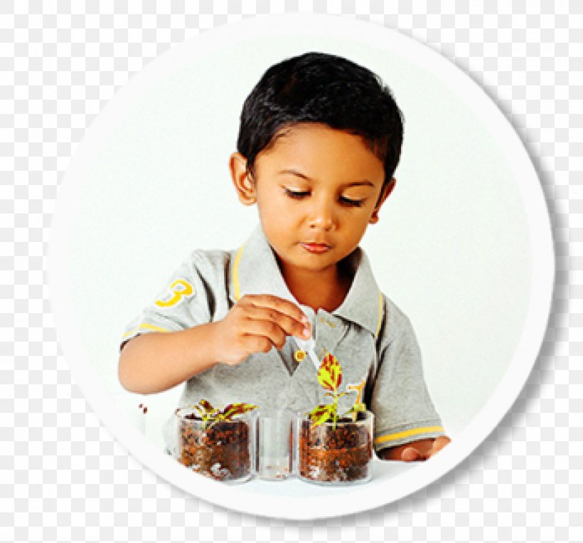 Maria Montessori India Pre-school Child Montessori Education, PNG, 1400x1303px, Maria Montessori, Child, Child Care, Drink, Eating Download Free