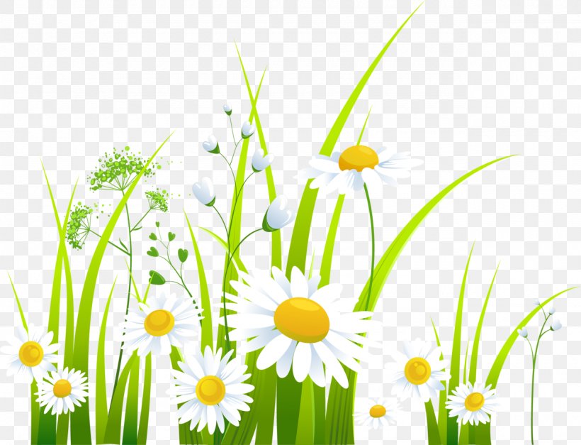 Spring Clip Art, PNG, 1280x980px, Spring, Animation, Chamaemelum Nobile, Commodity, Daisy Download Free