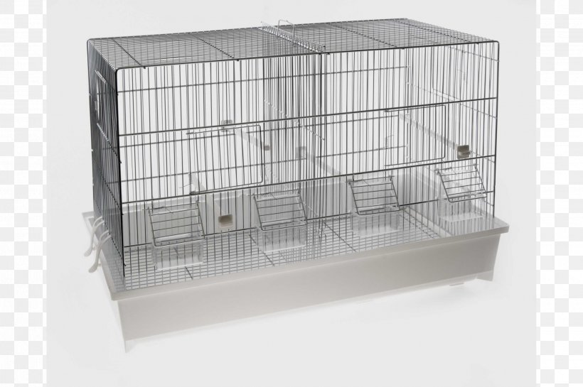 Domestic Canary Cage Bird Mauser Highway M06, PNG, 2500x1662px, Domestic Canary, Bathtub, Bird, Cage, Highway M06 Download Free