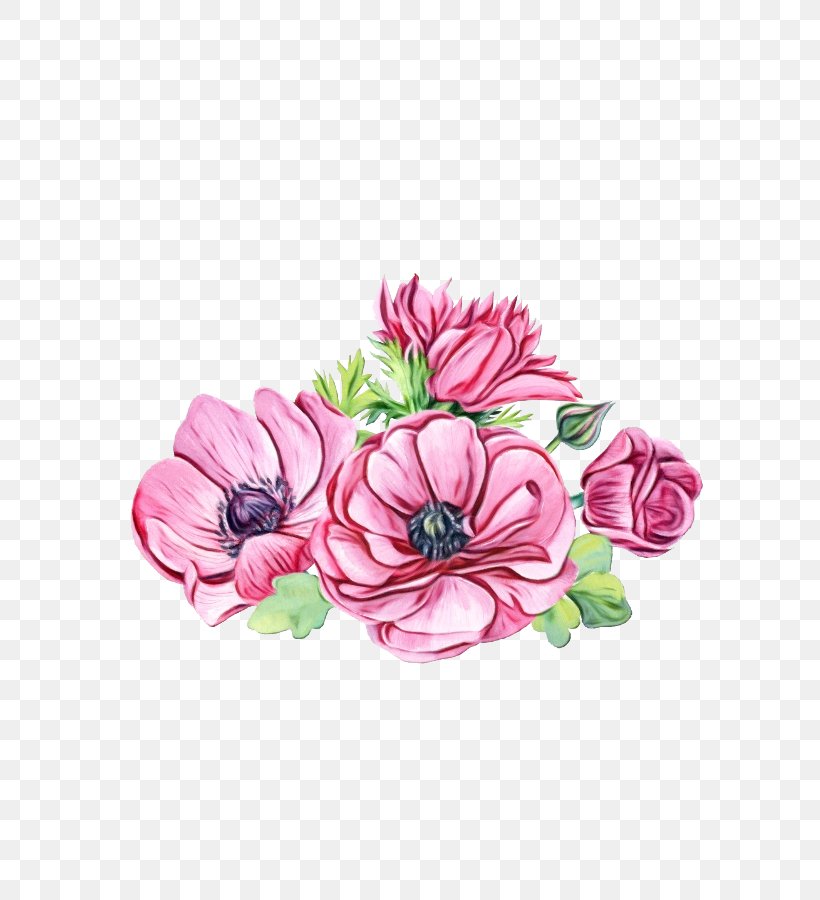 Flower Pink Petal Plant Flowering Plant, PNG, 600x900px, Watercolor, Anemone, Cut Flowers, Flower, Flowering Plant Download Free