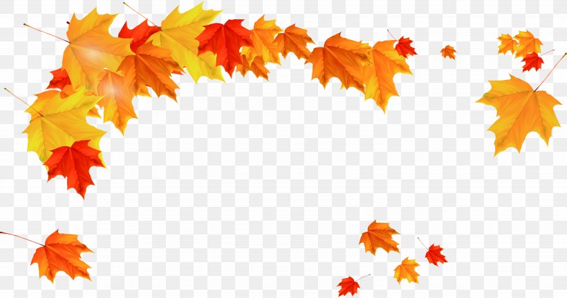 Maple Leaf Autumn, PNG, 6704x3539px, Maple Leaf, Autumn, Coreldraw, Dwg, Flower Download Free