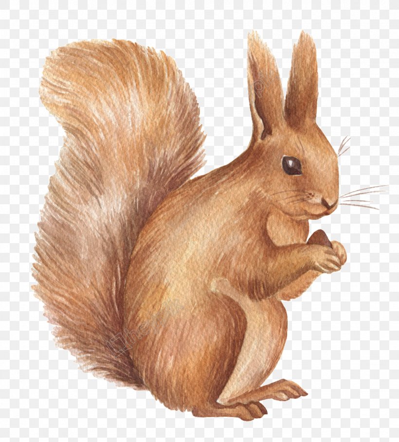 Squirrel Vector Graphics Design Christmas Day, PNG, 1024x1136px, Squirrel, Cartoon, Christmas Day, Christmas Tree, Domestic Rabbit Download Free