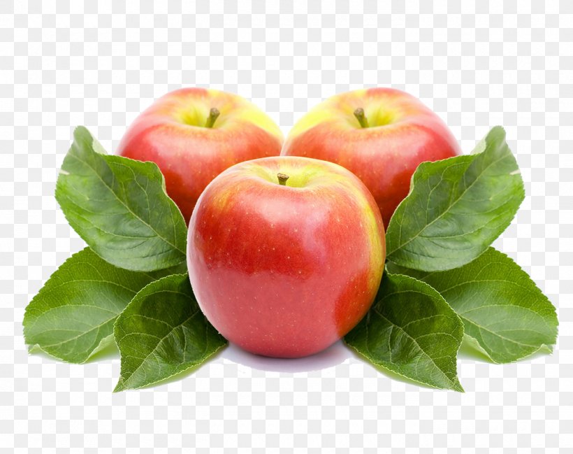 Apple Juice Apple Cider Vinegar Fruit Shampoo, PNG, 1400x1109px, Apple Juice, Apple, Apple A Day Keeps The Doctor Away, Apple Cider Vinegar, Detoxification Download Free