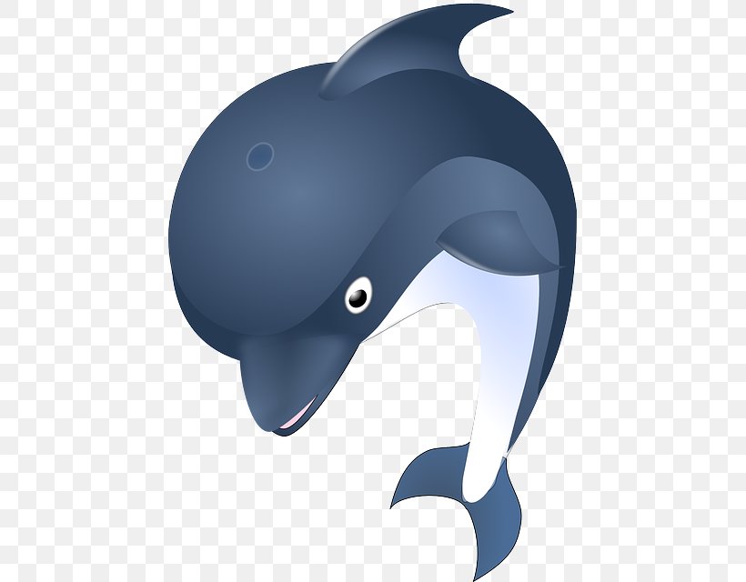Common Bottlenose Dolphin Clip Art, PNG, 449x640px, Dolphin, Beak, Bicycle Helmet, Bottlenose Dolphin, Cetaceans Download Free