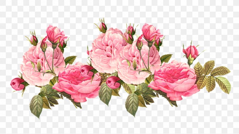 Flower Vintage Clothing Centifolia Roses Clip Art, PNG, 1193x671px, Flower, Antique, Azalea, Blossom, Branch Download Free