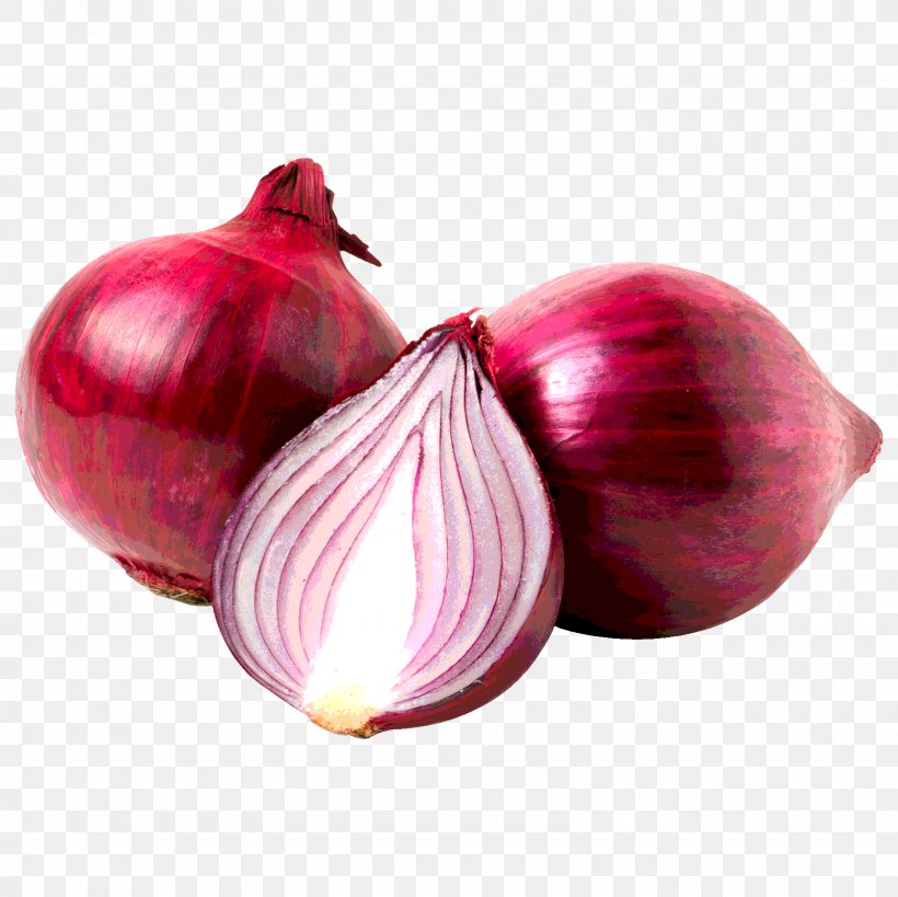 Red Onion White Onion Vegetable Garlic, PNG, 1600x1600px, Red Onion, Allicin, Alliin, Bell Pepper, Capsicum Download Free