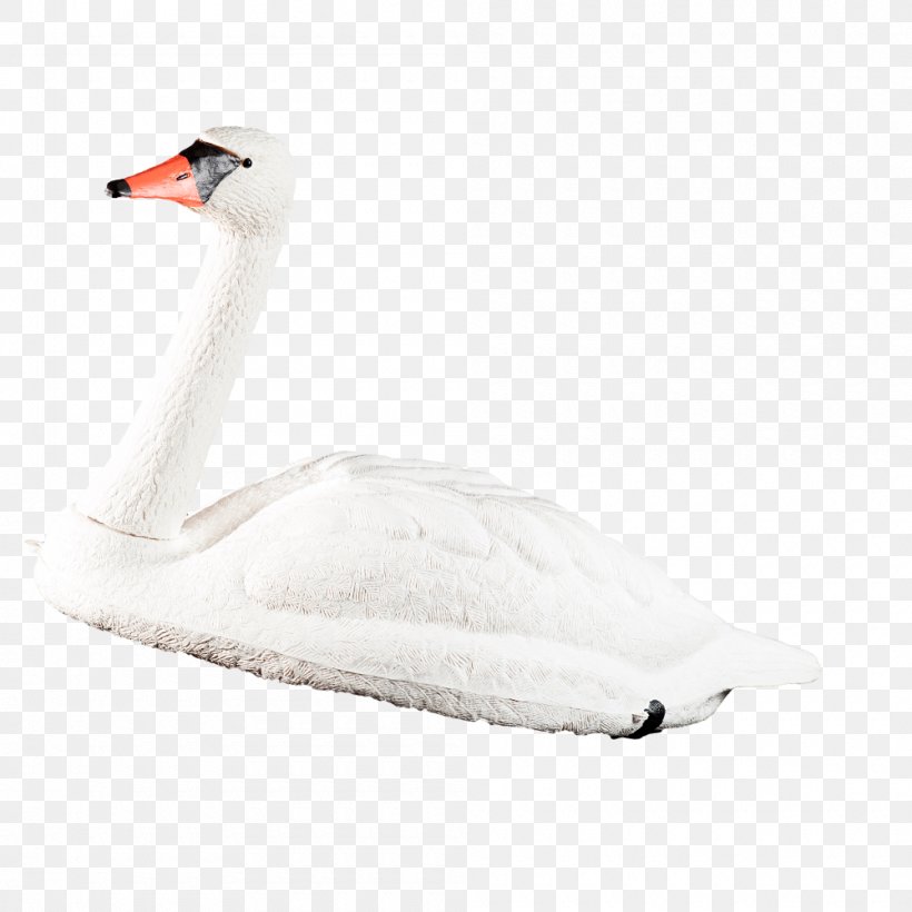 Cygnini Neck Beak, PNG, 1000x1000px, Cygnini, Beak, Bird, Ducks Geese And Swans, Feather Download Free