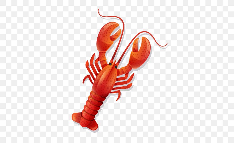 Lobster Caridea Palinurus Elephas Shrimp Astacoidea, PNG, 500x500px, Lobster, Astacoidea, Caridea, Chain Store, Decapoda Download Free