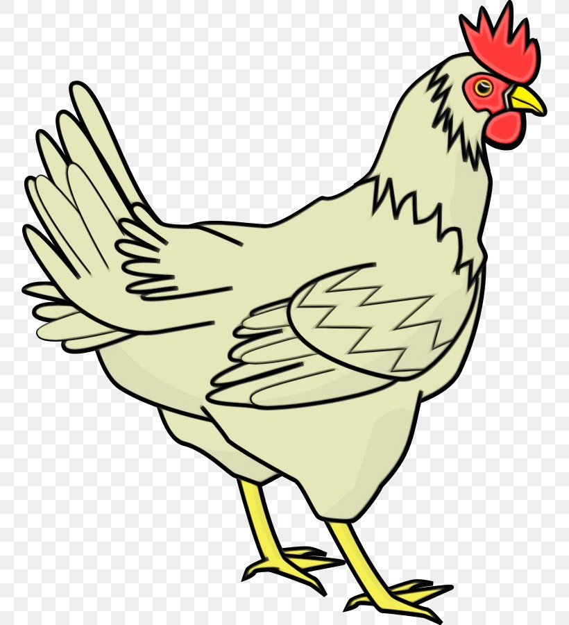 Bird Chicken Rooster Beak Comb, PNG, 758x900px, Watercolor, Beak, Bird, Chicken, Coloring Book Download Free