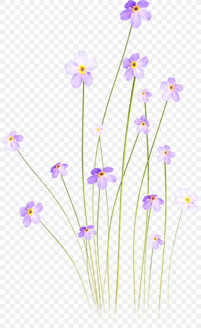 Cut Flowers Tulip Clip Art, PNG, 800x1338px, Flower, Bead, Bead Weaving, Beadwork, Cut Flowers Download Free