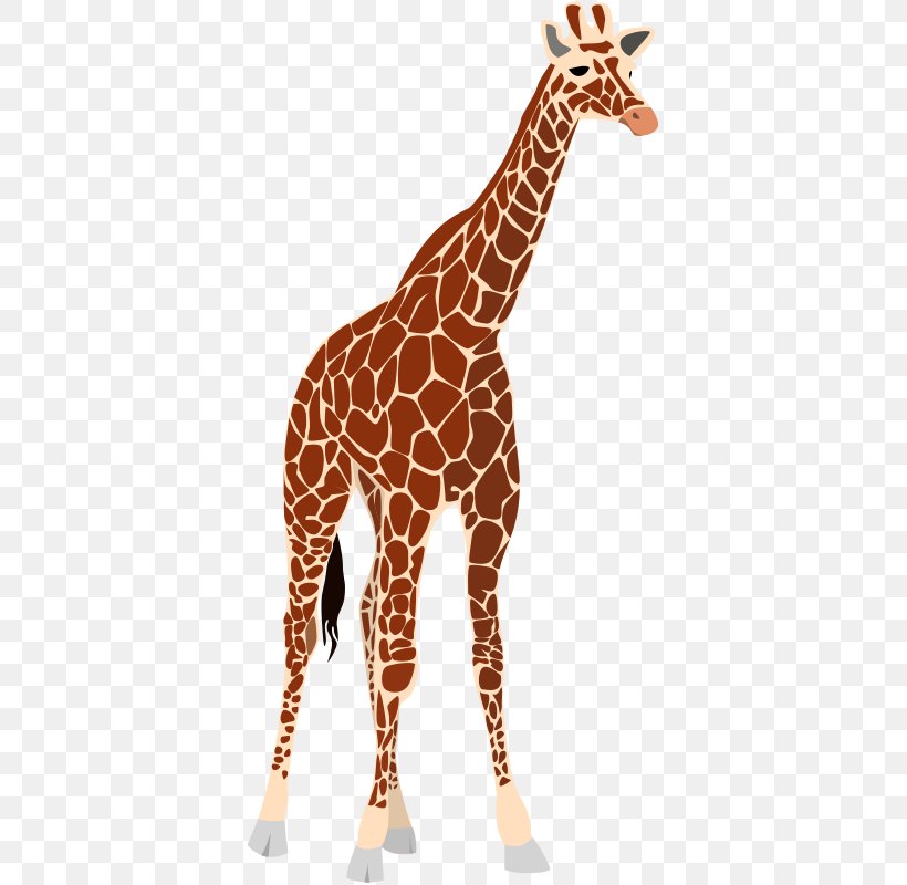 Okapi West African Giraffe Clip Art, PNG, 375x800px, Okapi, Animal Figure, Fauna, Free Content, Giraffe Download Free