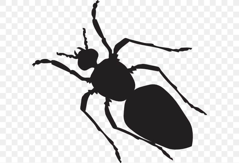 Black Garden Ant Sticker Clip Art, PNG, 600x561px, Ant, Arthropod, Beetle, Black, Black And White Download Free