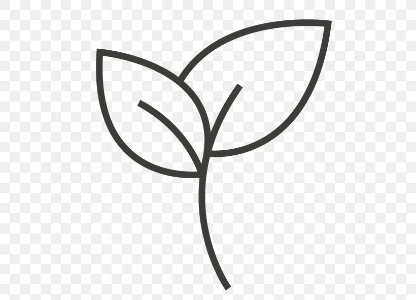 Clip Art Plant Stem Leaf Flower Line, PNG, 609x591px, Plant Stem, Area, Black, Black And White, Branch Download Free