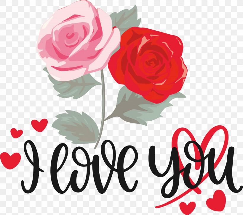 I Love You Valentine Valentines Day, PNG, 2999x2659px, I Love You, Cabbage Rose, Cosmetology, Cut Flowers, Floral Design Download Free