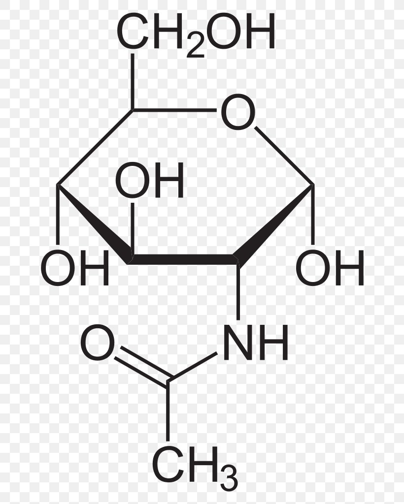 N-Acetylglucosamine Acetyl Group Glycoprotein N-Acetylgalactosamine, PNG, 687x1024px, Watercolor, Cartoon, Flower, Frame, Heart Download Free