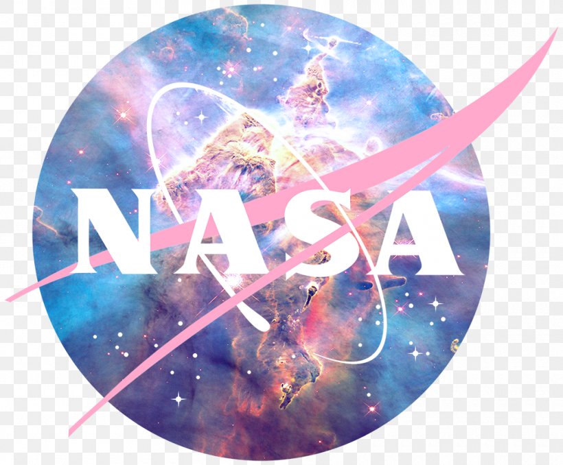 NASA Insignia Sticker Logo Decal, PNG, 1000x828px, Nasa Insignia, Adhesive, Astronaut, Decal, Extravehicular Activity Download Free