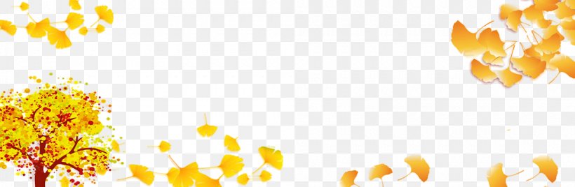 Orange, PNG, 1000x328px, Yellow, Flower, Orange, Petal, Plant Download Free