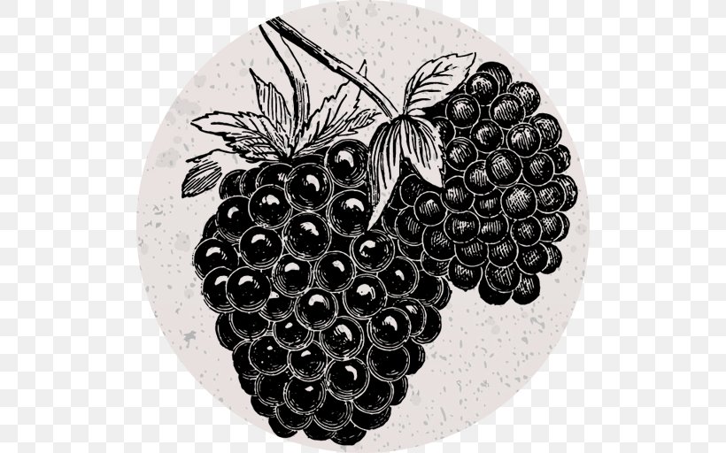 Blackberry Grape Italian Cuisine Clip Art, PNG, 512x512px, Blackberry, Berry, Black And White, Chef, Drawing Download Free