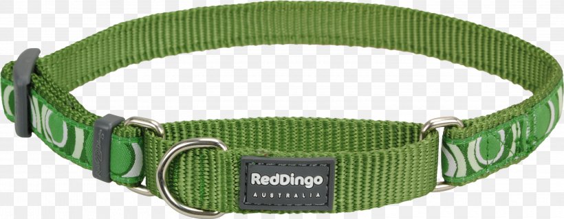 Dingo Dog Collar Martingale Leash, PNG, 3000x1169px, Dingo, Belt, Cat, Choker, Chow Chow Download Free